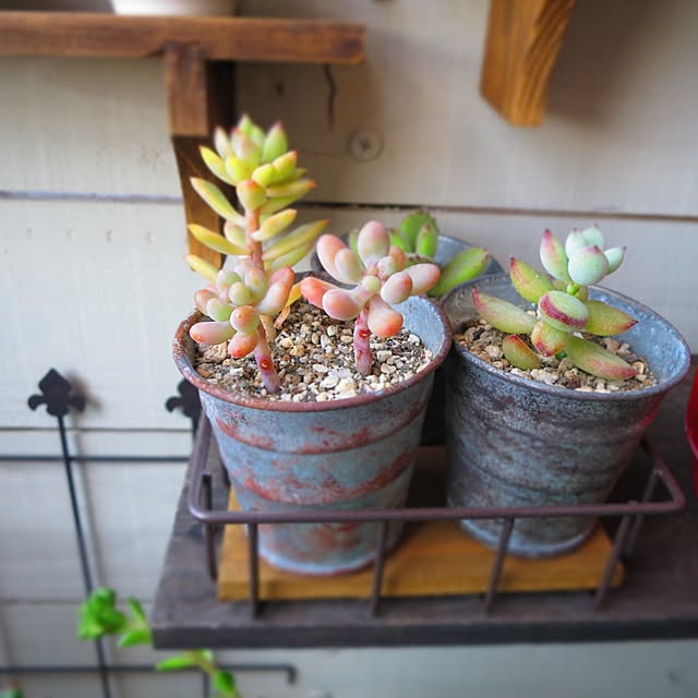 nan_tocoさんの実例写真