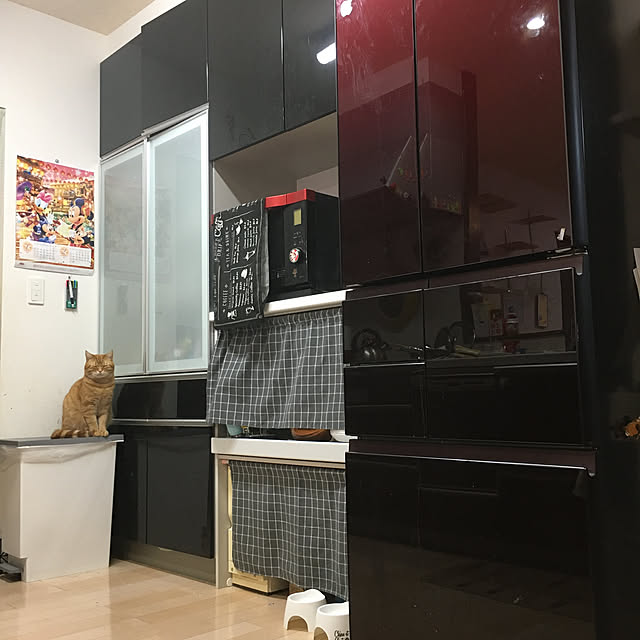 nekoさんの実例写真