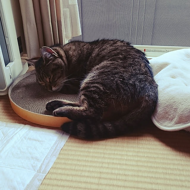lilyさんの実例写真