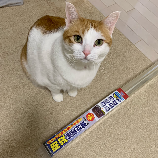 bikkeさんの実例写真