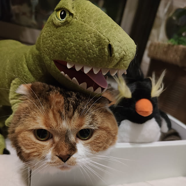 hiro3さんの実例写真