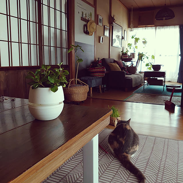 fukuさんの実例写真