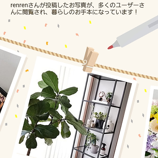 renrenさんの実例写真
