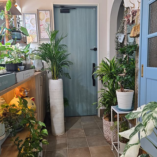 nonbiri_house_さんの部屋