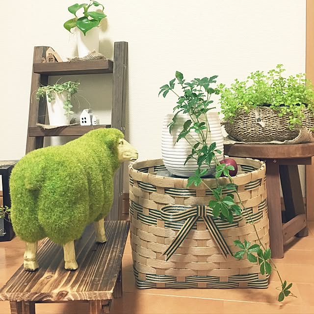 juboccoさんの実例写真