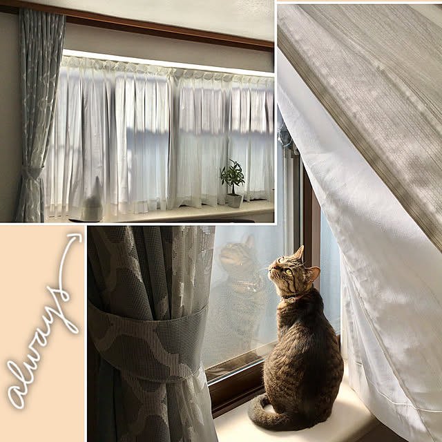 ayataroさんの実例写真