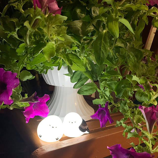 Aqettyさんの部屋