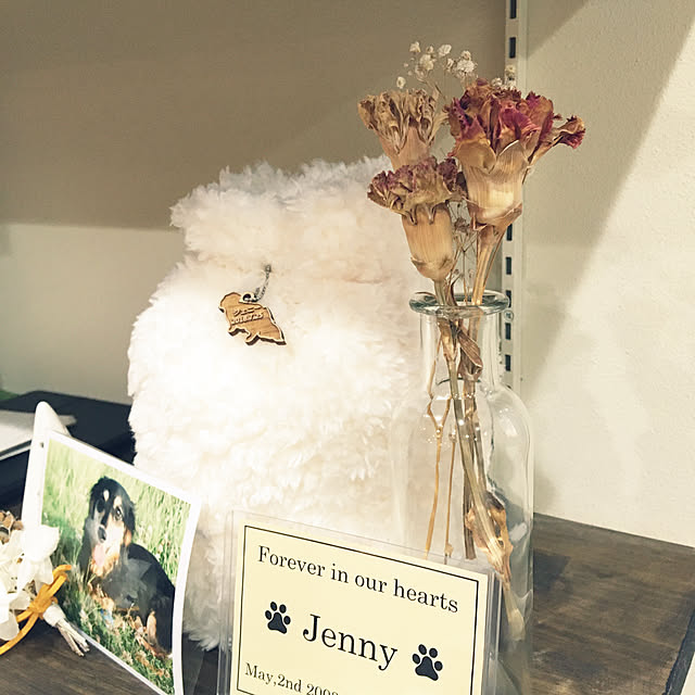 boku.jenny.myloveさんの実例写真