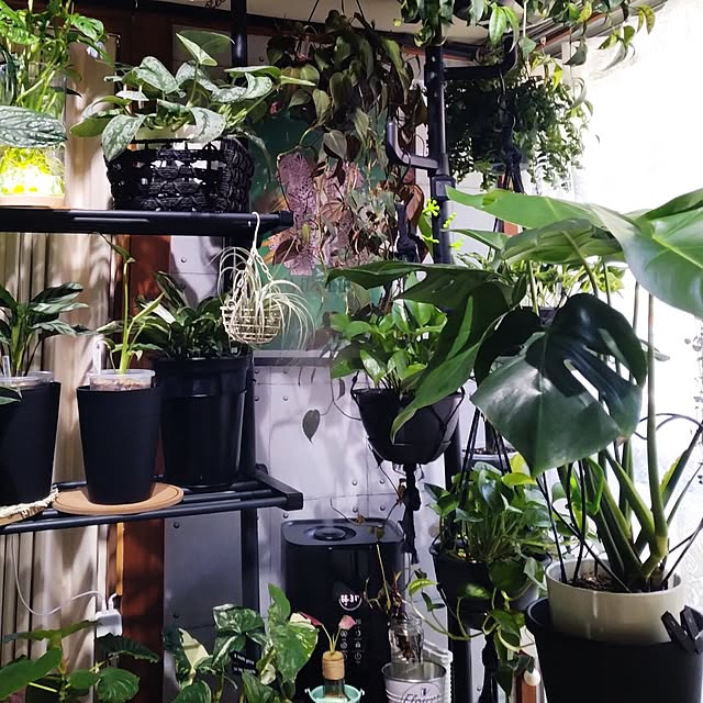runaさんの部屋