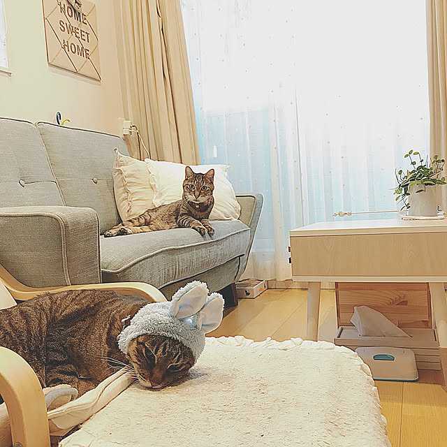 lovecatさんの実例写真