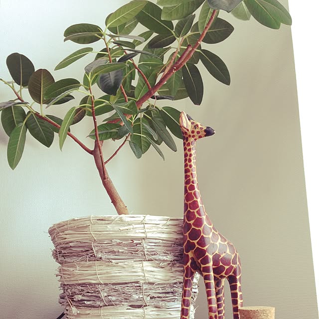 Marikoさんの実例写真