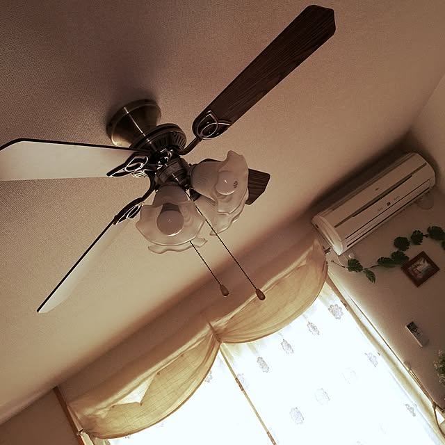 Cocoさんの実例写真
