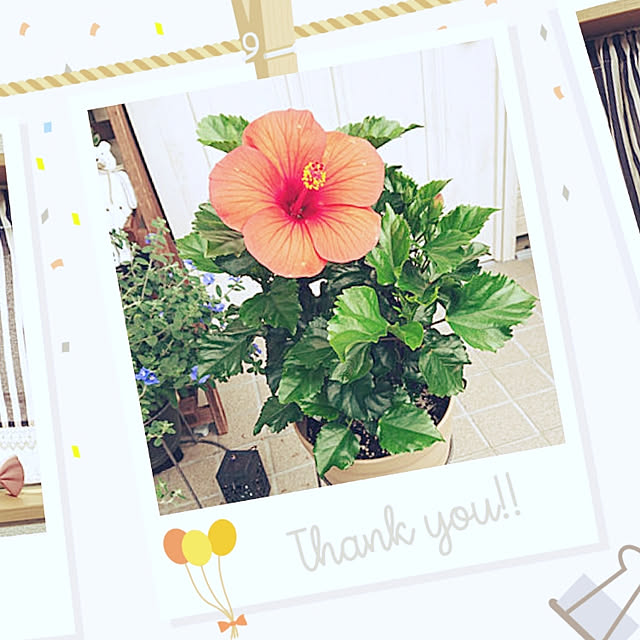 nanさんの実例写真
