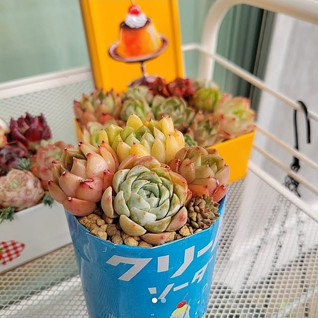 akiak.3さんの部屋