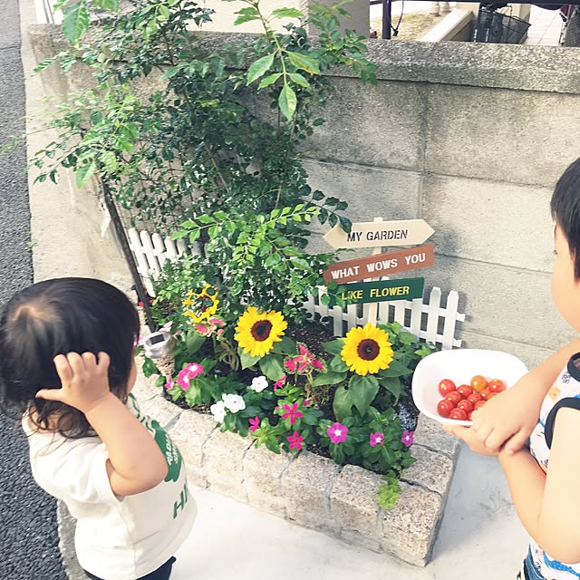 craneさんの実例写真