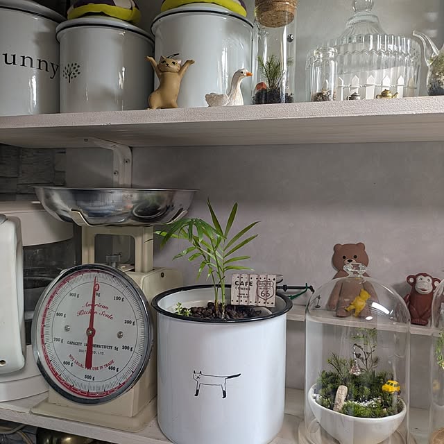 mori_6_12さんの実例写真