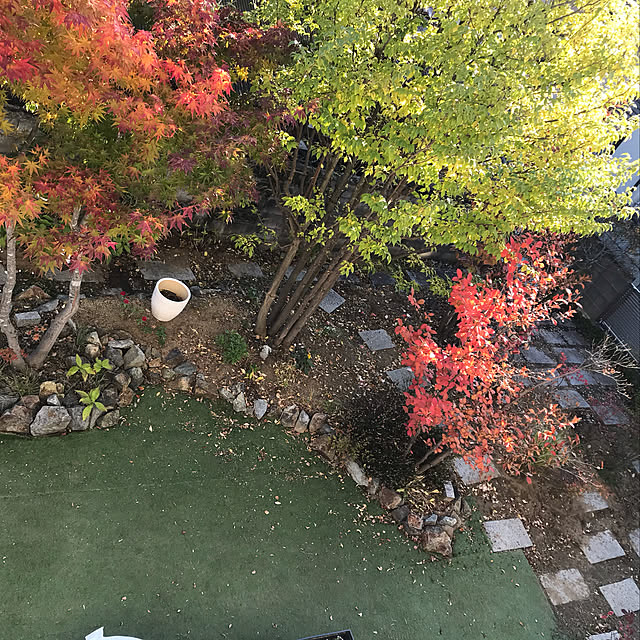 bird30さんの実例写真