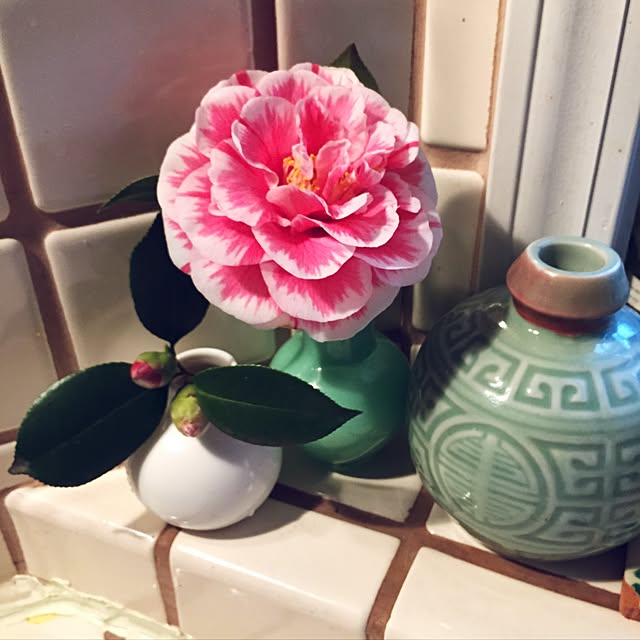 chaiさんの実例写真