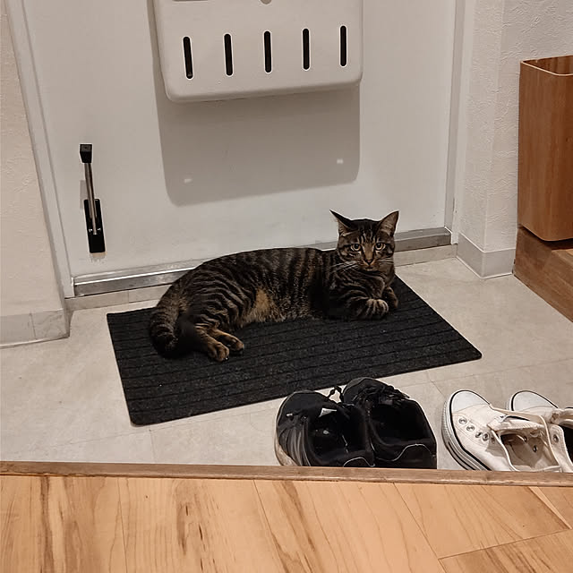 hihaさんの実例写真