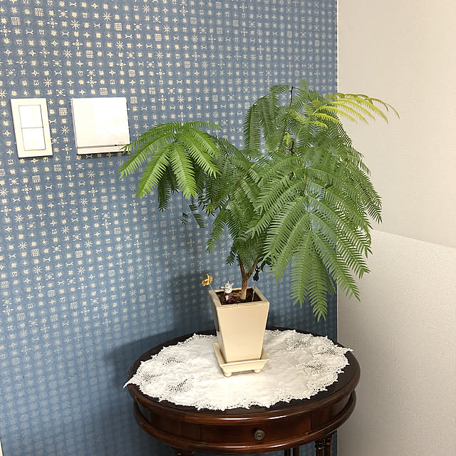 minitomatoさんの実例写真