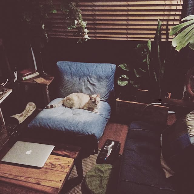 Naoki.さんの実例写真