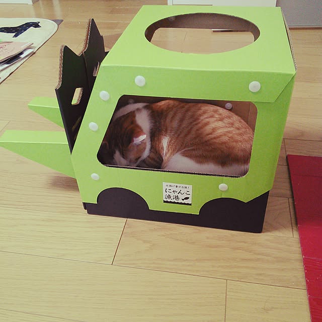 pouさんの実例写真