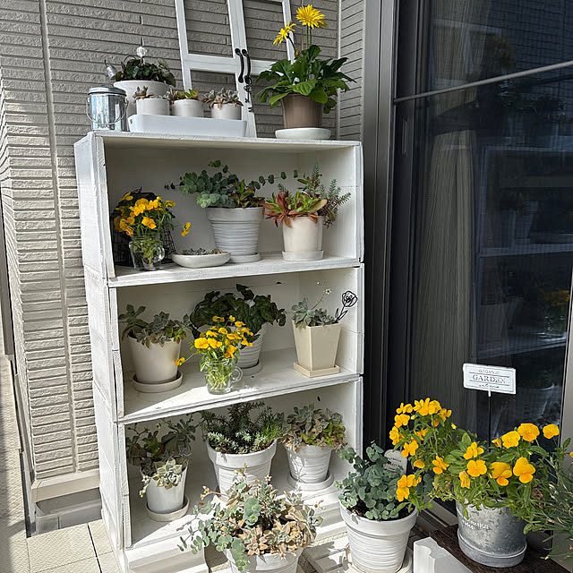 anmitsuさんの実例写真