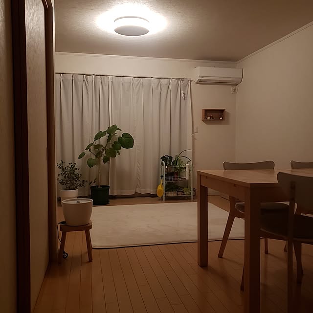 wanidaさんの部屋