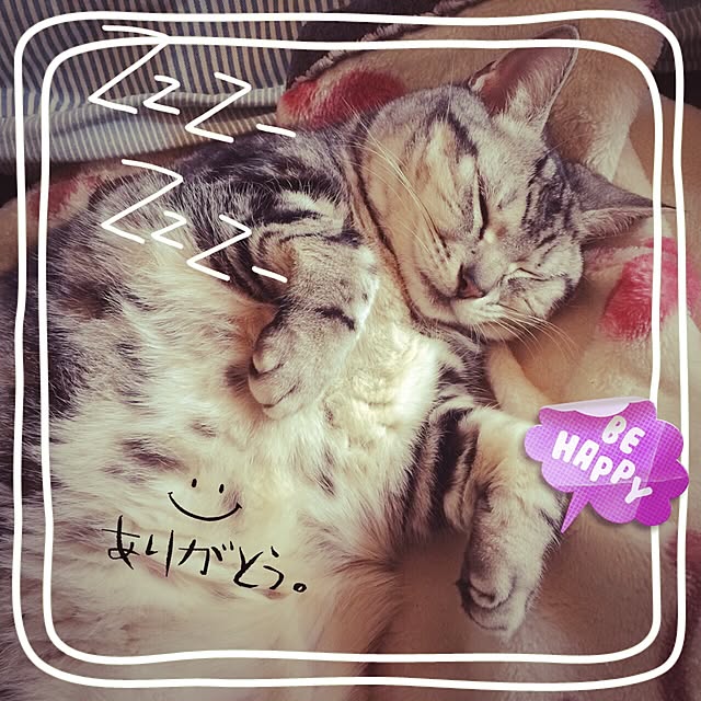 Happypinkさんの実例写真