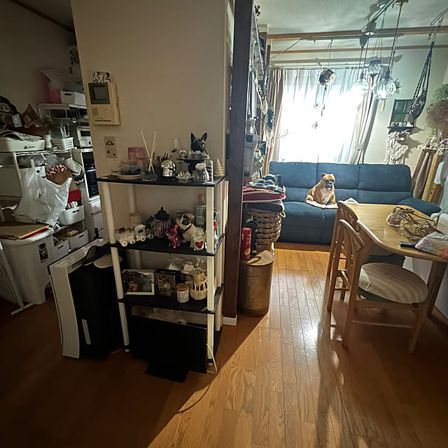 chi_gogaさんの部屋