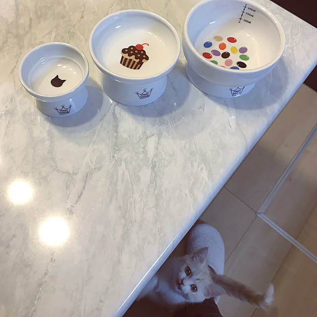 H.Tさんの実例写真
