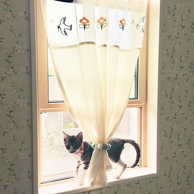 ippu0303Karinさんの実例写真