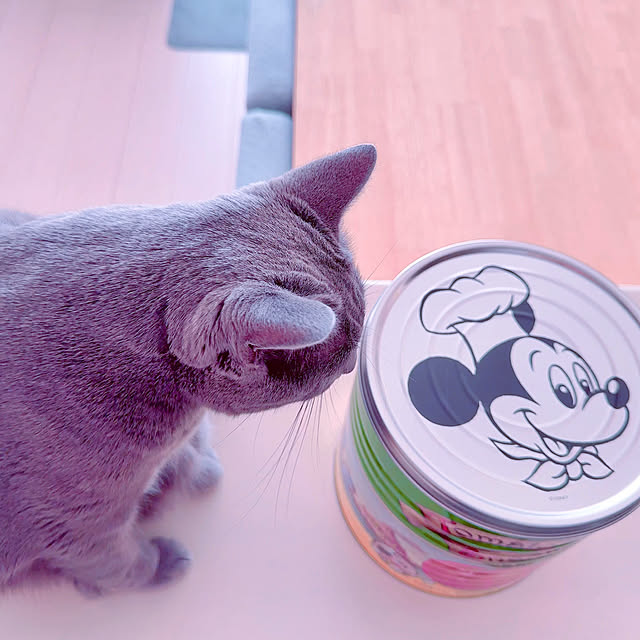 snoopyさんの部屋