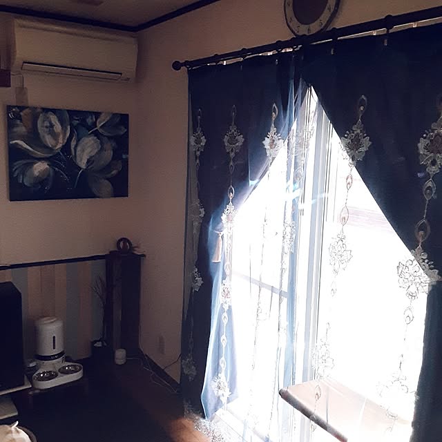 部屋全体/カーテン/ねこのいる日常/猫と暮らす家/ねこと暮らす...などのインテリア実例 - 2023-10-28 13:22:51