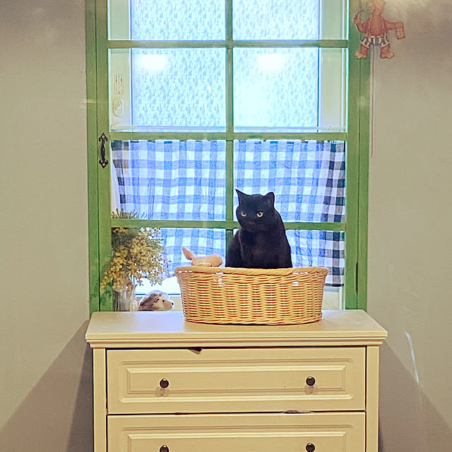 Asamiさんの実例写真