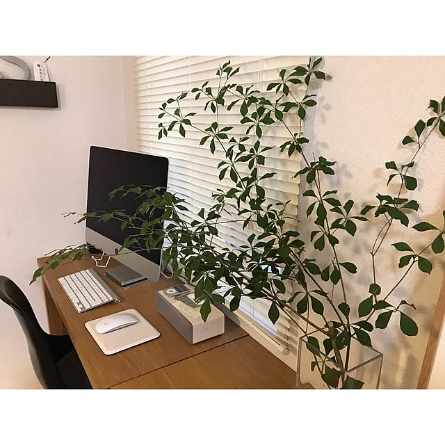 stcm.homeさんの実例写真