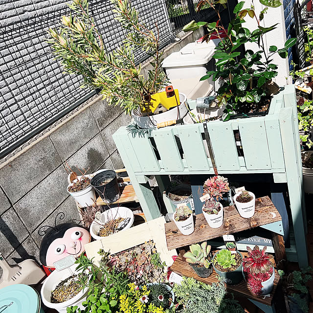 leonさんの部屋