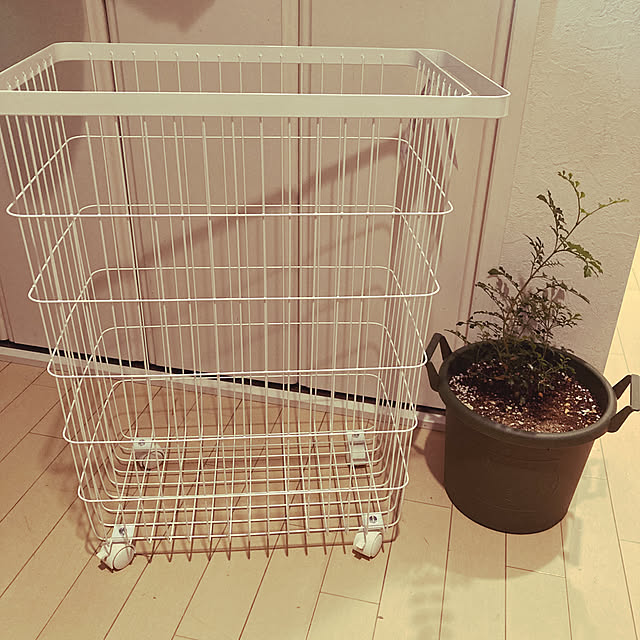 okkunさんの実例写真