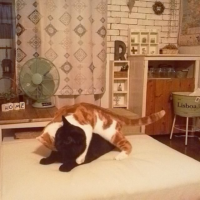 mikiさんの実例写真