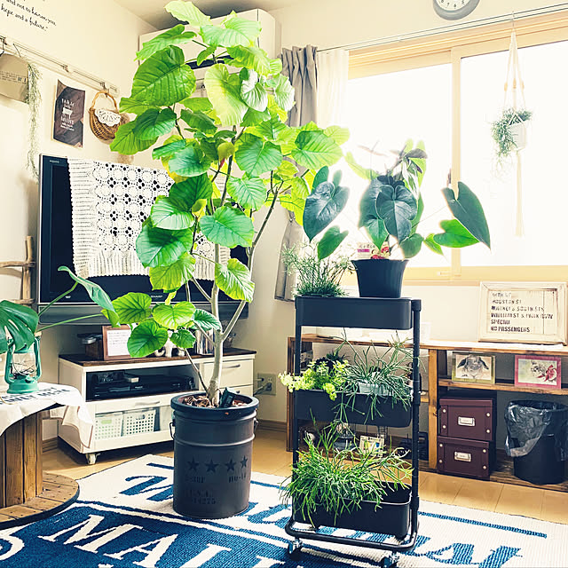 xxakemichxxさんの実例写真