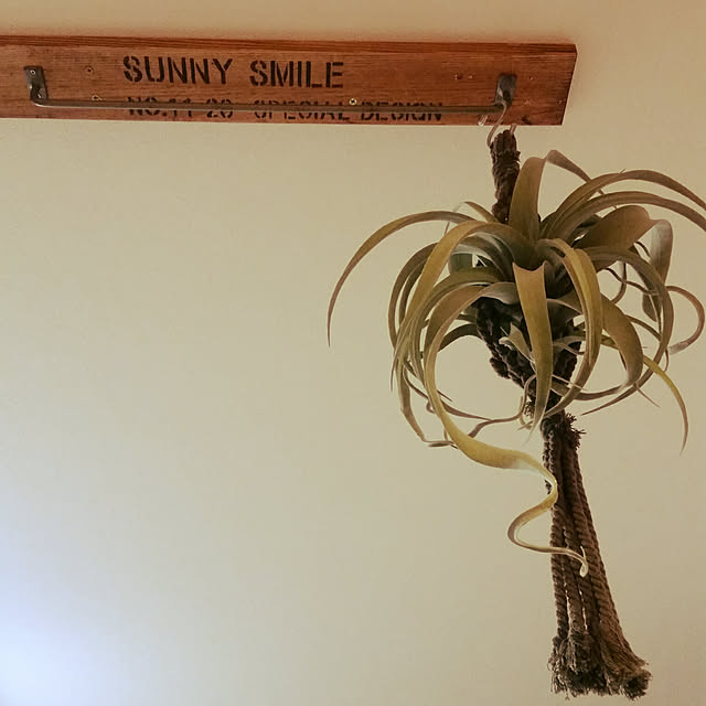 SUNNY-SMILE.rinさんの実例写真