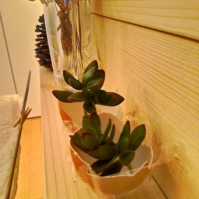 iketoさんの実例写真