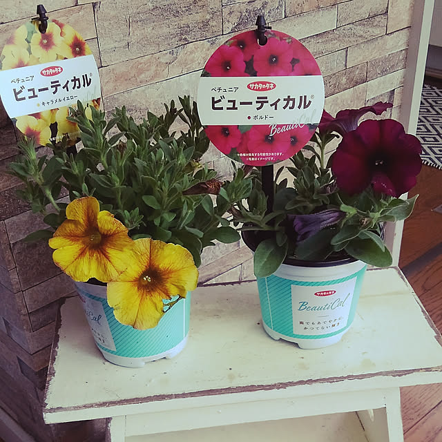 Renさんの実例写真