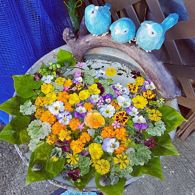 mocomocoさんの実例写真