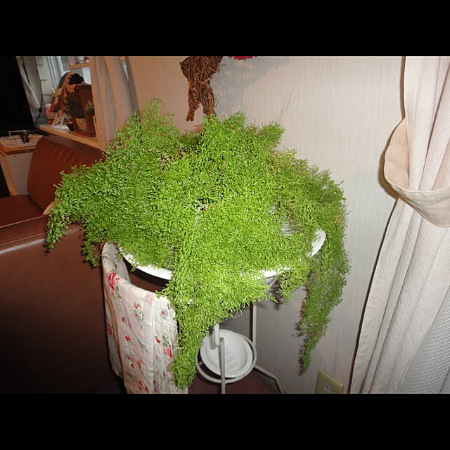 AcchanSaysさんの実例写真