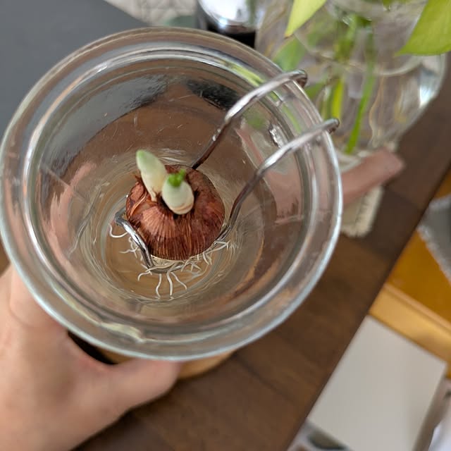 mi-saさんの部屋