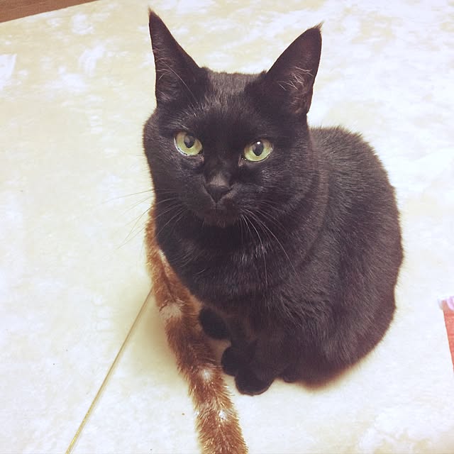 rococoさんの実例写真