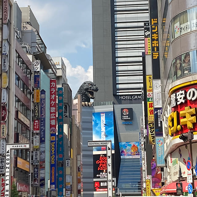 実例写真