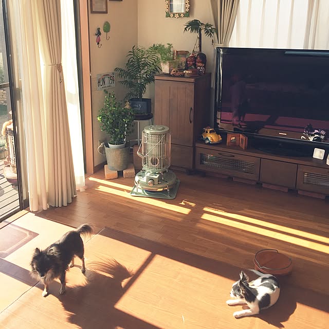 tomoさんの実例写真