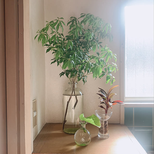 nao.roomさんの実例写真